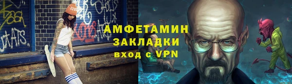 прущие грибы Новодвинск