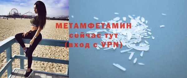 прущие грибы Новодвинск
