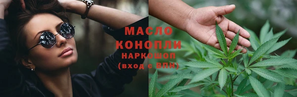 прущие грибы Новодвинск