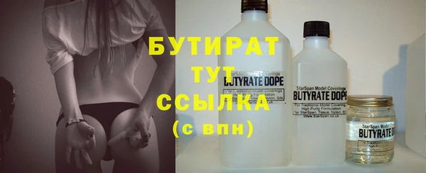 прущие грибы Новодвинск
