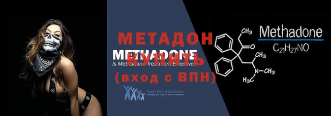 прущие грибы Новодвинск