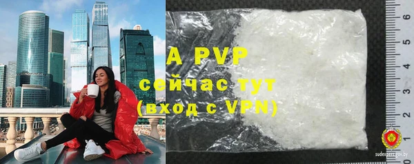 прущие грибы Новодвинск