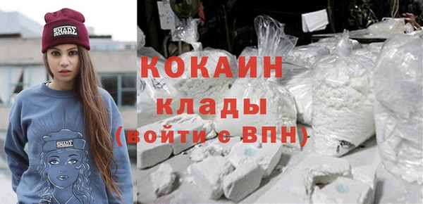 прущие грибы Новодвинск