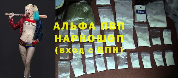 прущие грибы Новодвинск