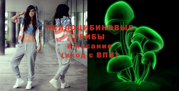 гашик Вязьма