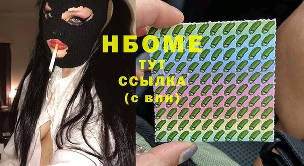 прущие грибы Новодвинск