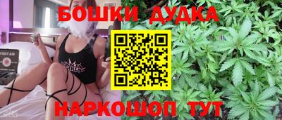 гидра Краснознаменск