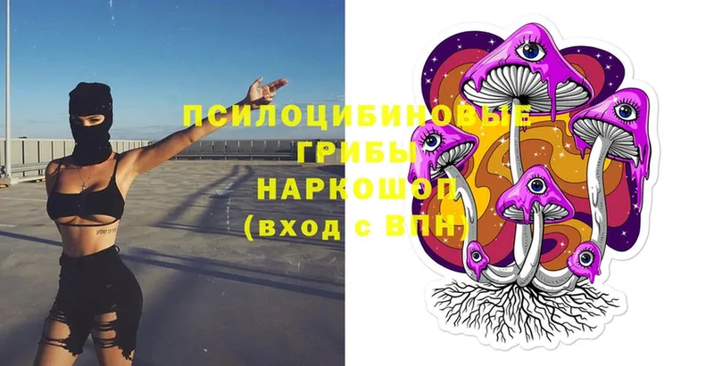 Псилоцибиновые грибы Psilocybe  купить закладку  блэк спрут вход  Киреевск 