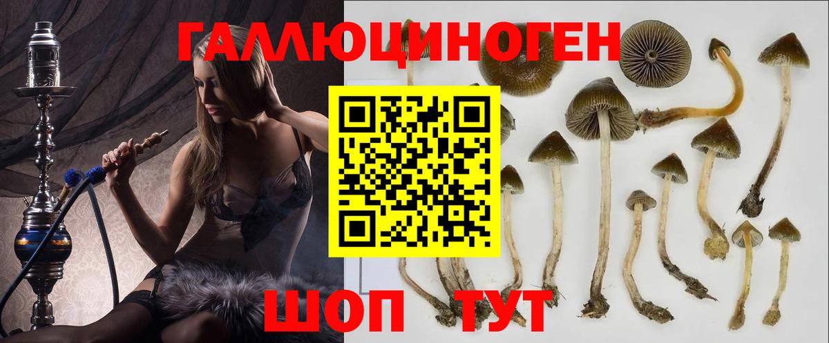 наркошоп  Вход с VPN  Псилоцибиновые грибы MAGIC MUSHROOMS  Киреевск  Галлюциногенные грибы Psilocybe 